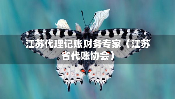 江苏代理记账财务专家（江苏省代账协会）