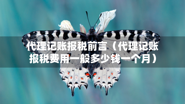 代理记账报税前言（代理记账报税费用一般多少钱一个月）