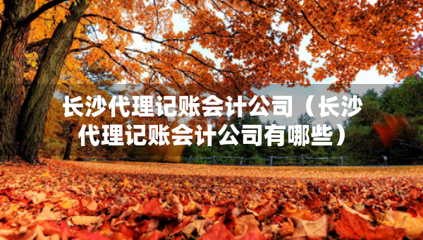 长沙代理记账会计公司（长沙代理记账会计公司有哪些）