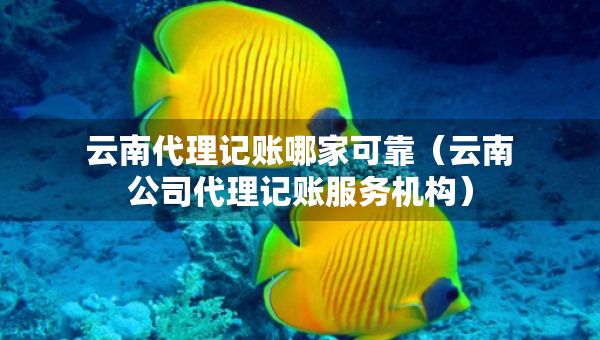云南代理记账哪家可靠（云南公司代理记账服务机构）