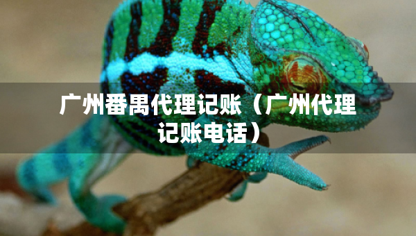 广州番禺代理记账（广州代理记账电话）