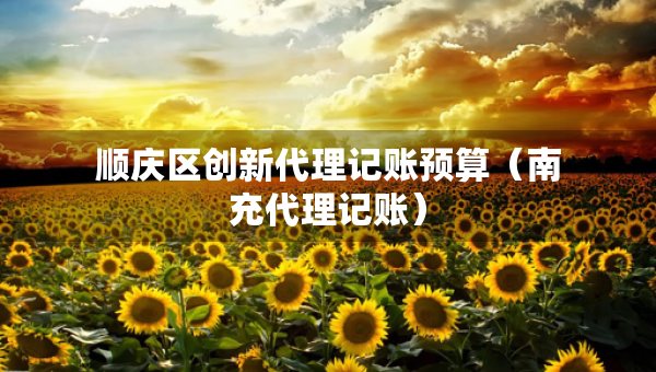 顺庆区创新代理记账预算（南充代理记账）