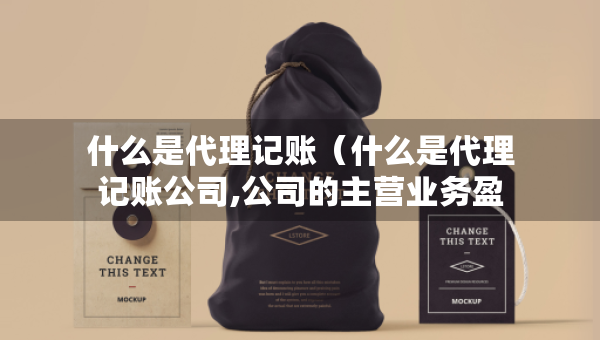 什么是代理记账（什么是代理记账公司,公司的主营业务盈利模式是什么?）