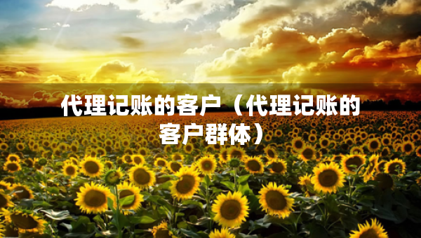 代理记账的客户（代理记账的客户群体）