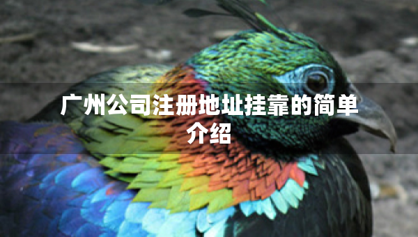 广州公司注册地址挂靠的简单介绍