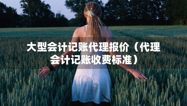 大型会计记账代理报价（代理会计记账收费标准）