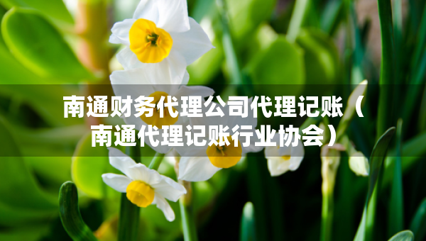 南通财务代理公司代理记账（南通代理记账行业协会）