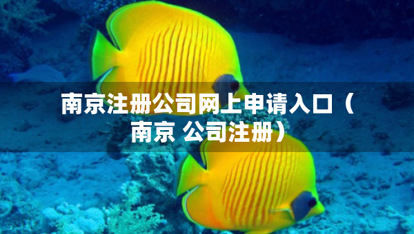 南京注册公司网上申请入口（南京 公司注册）