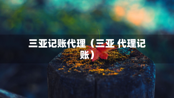 三亚记账代理（三亚 代理记账）