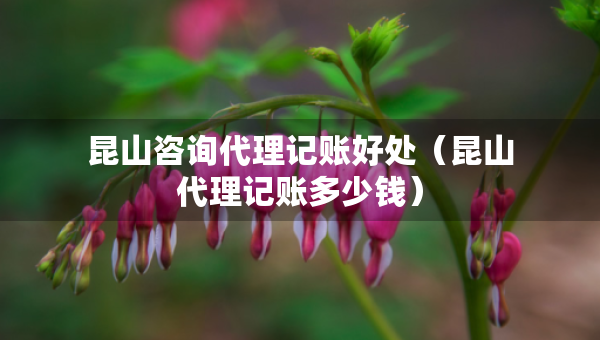 昆山咨询代理记账好处（昆山代理记账多少钱）