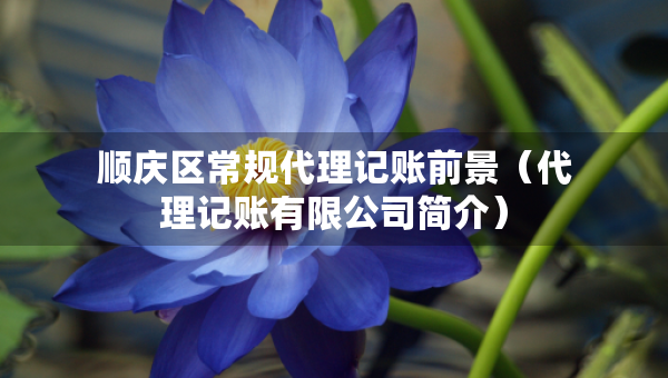 顺庆区常规代理记账前景（代理记账有限公司简介）