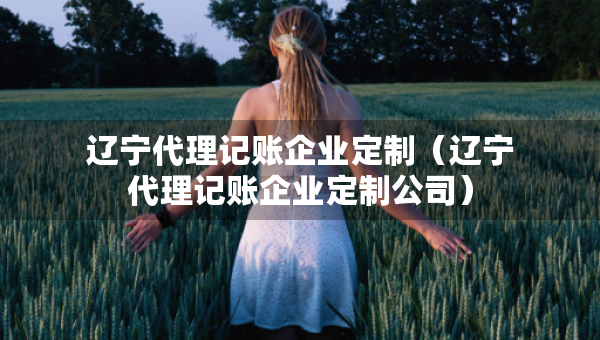 辽宁代理记账企业定制（辽宁代理记账企业定制公司）