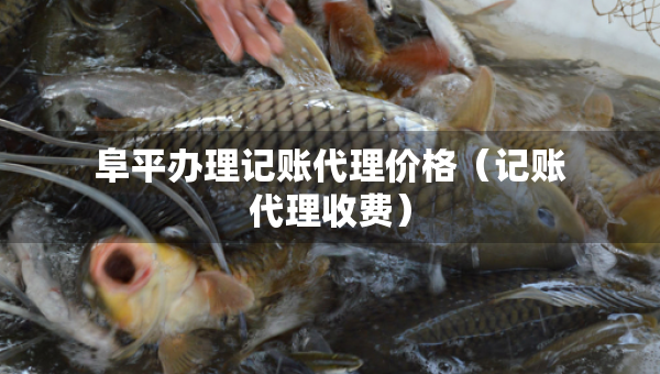 阜平办理记账代理价格（记账代理收费）