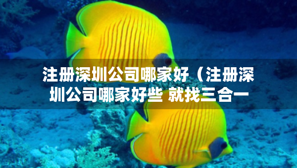 注册深圳公司哪家好（注册深圳公司哪家好些 就找三合一企服）