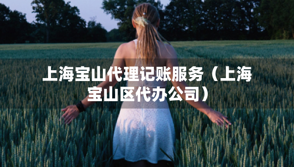 上海宝山代理记账服务（上海宝山区代办公司）