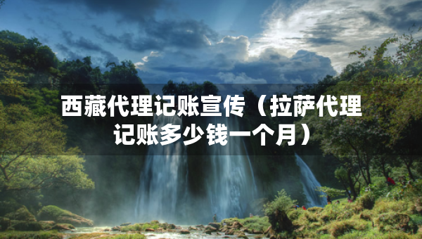 西藏代理记账宣传(拉萨代理记账多少钱一个月) 西藏代理记账宣传(拉萨代理记账多少钱一个月)