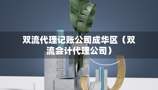 双流代理记账公司成华区（双流会计代理公司）