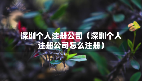 深圳个人注册公司（深圳个人注册公司怎么注册）