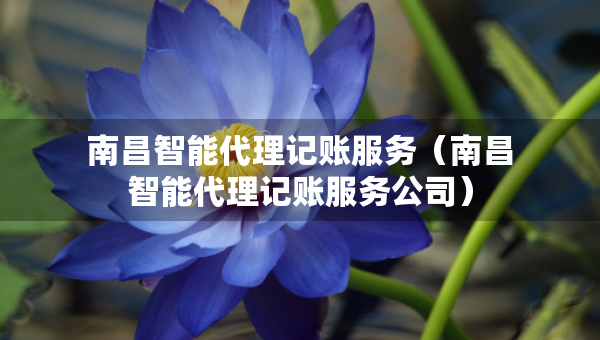 南昌智能代理记账服务（南昌智能代理记账服务公司）