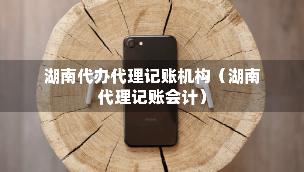 湖南代办代理记账机构（湖南代理记账会计）