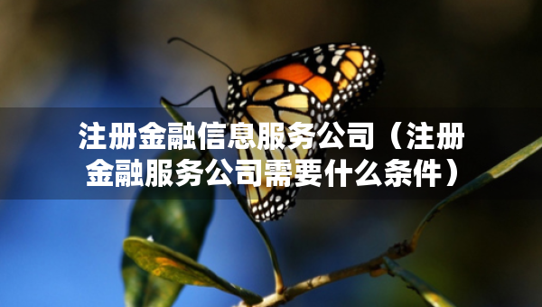 注册金融信息服务公司（注册金融服务公司需要什么条件）