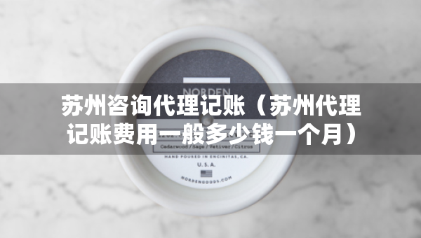 苏州咨询代理记账（苏州代理记账费用一般多少钱一个月）