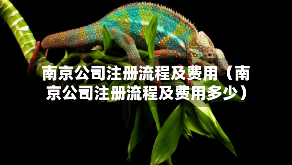 南京公司注册流程及费用（南京公司注册流程及费用多少）