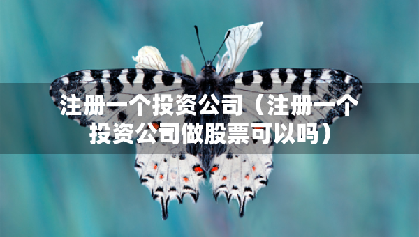 注册一个投资公司（注册一个投资公司做股票可以吗）