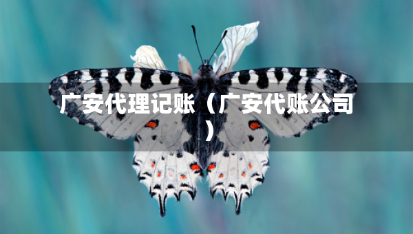 广安代理记账（广安代账公司）