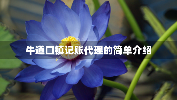 牛道口镇记账代理的简单介绍