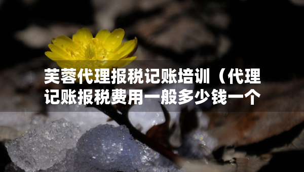 芙蓉代理报税记账培训（代理记账报税费用一般多少钱一个月）