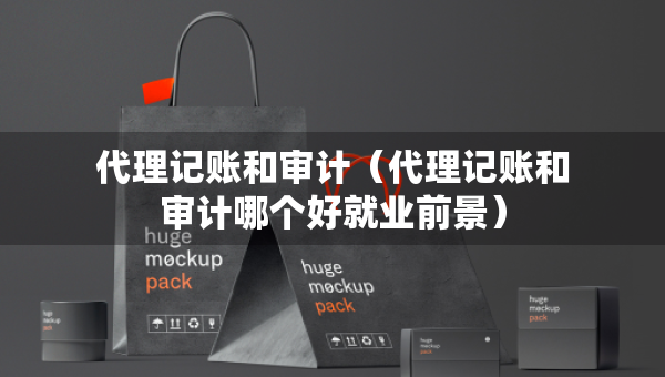 代理记账和审计（代理记账和审计哪个好就业前景）