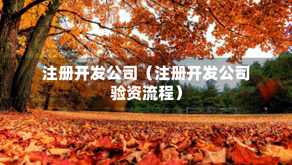 注册开发公司（注册开发公司验资流程）
