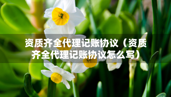 资质齐全代理记账协议（资质齐全代理记账协议怎么写）