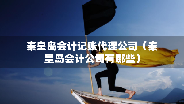 秦皇岛会计记账代理公司（秦皇岛会计公司有哪些）