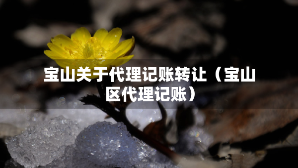 宝山关于代理记账转让（宝山区代理记账）