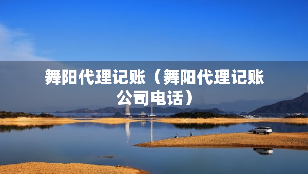 舞阳代理记账（舞阳代理记账公司电话）