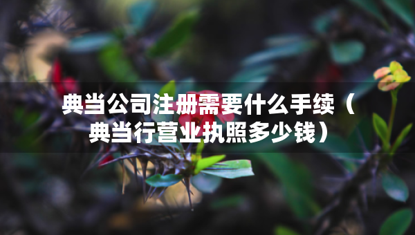 典当公司注册需要什么手续（典当行营业执照多少钱）