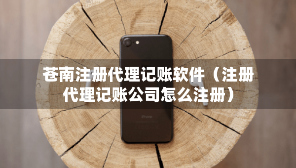 苍南注册代理记账软件（注册代理记账公司怎么注册）