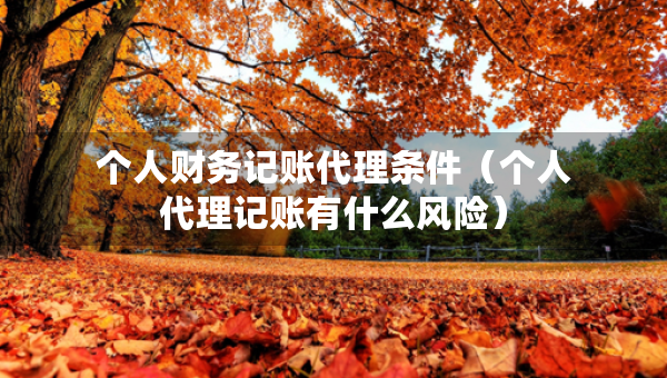 个人财务记账代理条件（个人代理记账有什么风险）