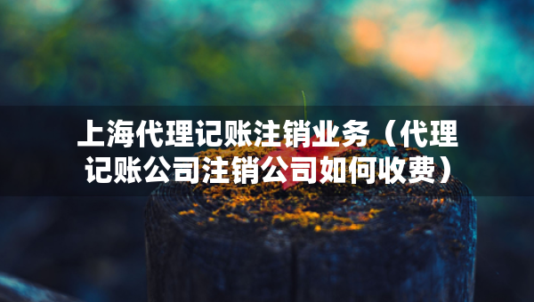 上海代理记账注销业务（代理记账公司注销公司如何收费）