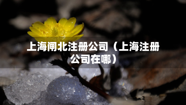 上海闸北注册公司（上海注册公司在哪）