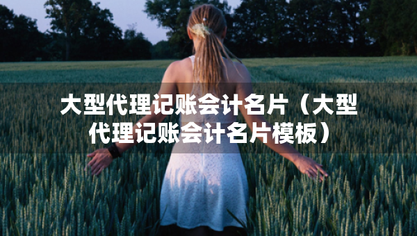 大型代理记账会计名片（大型代理记账会计名片模板）