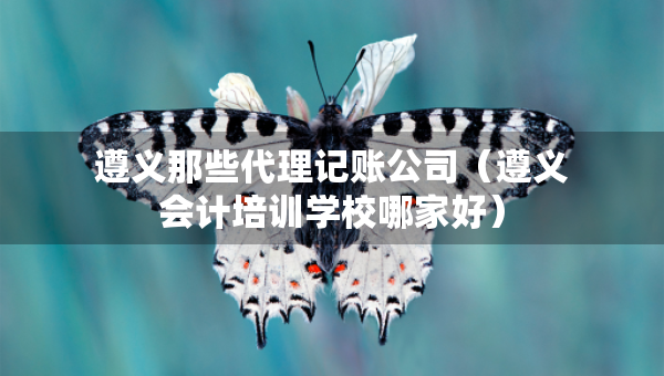 遵义那些代理记账公司（遵义会计培训学校哪家好）