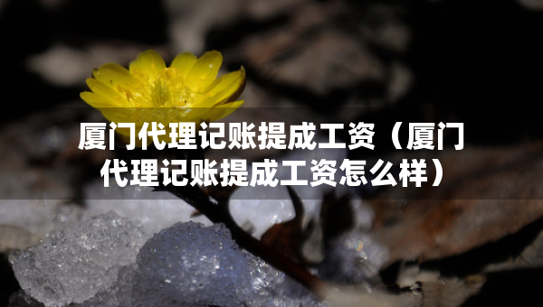 厦门代理记账提成工资（厦门代理记账提成工资怎么样）
