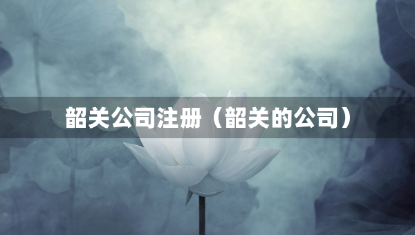 韶关公司注册（韶关的公司）