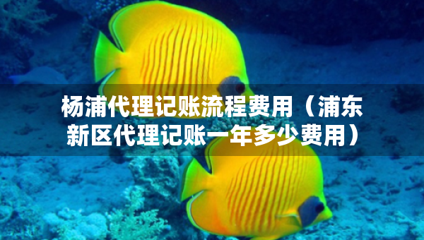 杨浦代理记账流程费用（浦东新区代理记账一年多少费用）