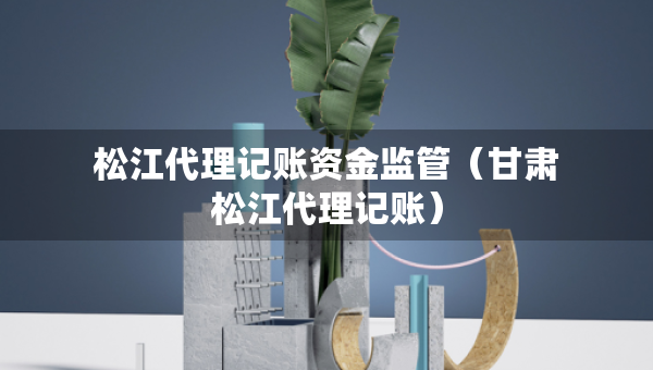 松江代理记账资金监管（甘肃松江代理记账）