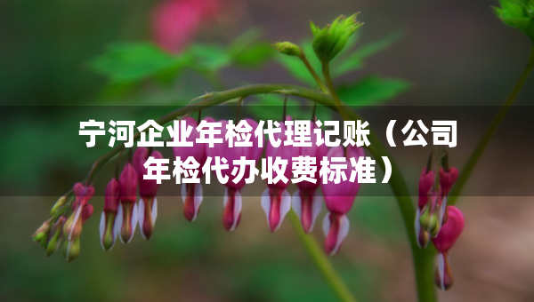 宁河企业年检代理记账（公司年检代办收费标准）