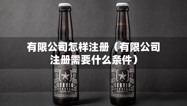 有限公司怎样注册（有限公司注册需要什么条件）